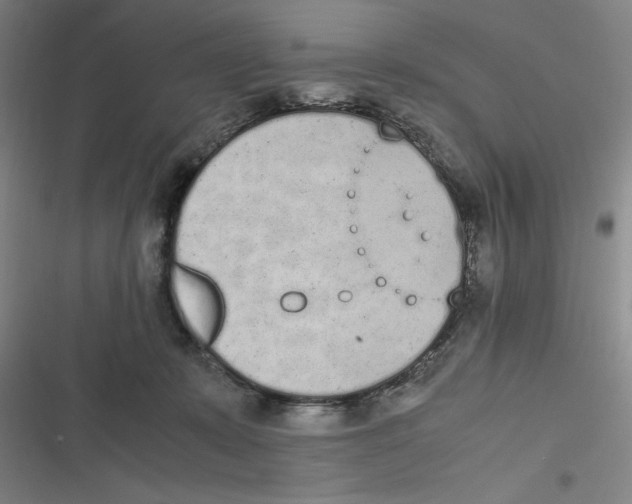 X0000116840319201001081504