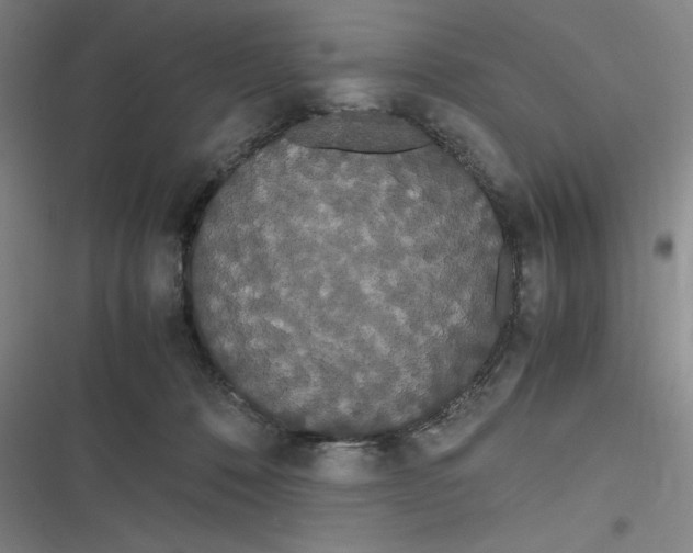 X0000116840320201001081504