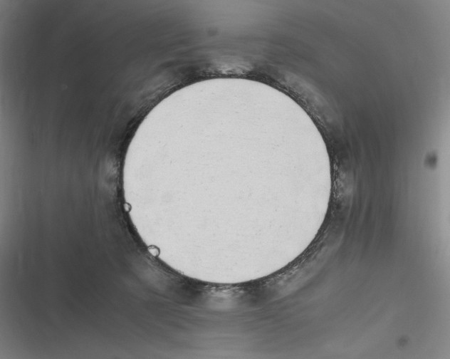 X0000116840321201001081504