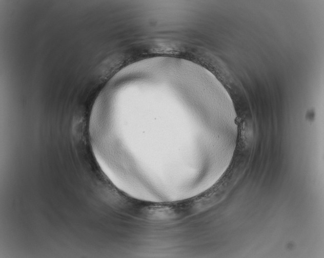 X0000116840322201001081504