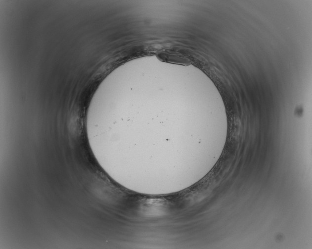 X0000116840324201001081504