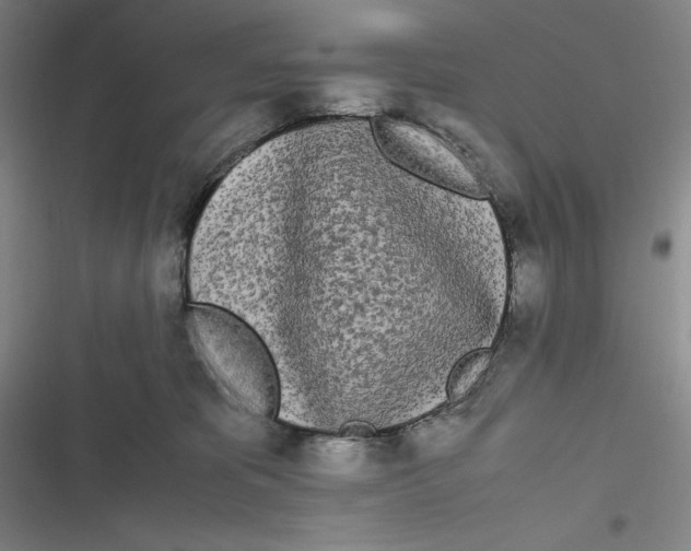 X0000116840325201001081504