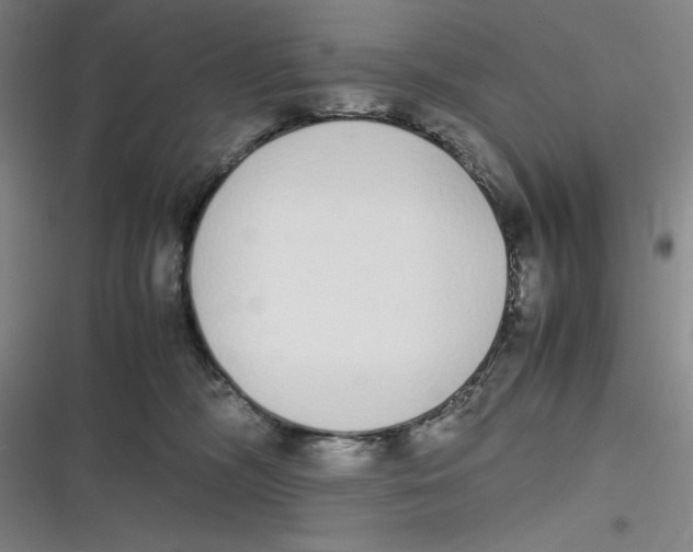 X0000116840326201001081504