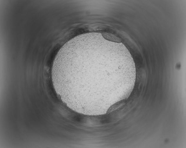 X0000116840327201001081504