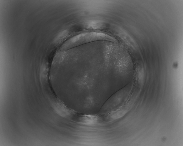 X0000116840328201001081504