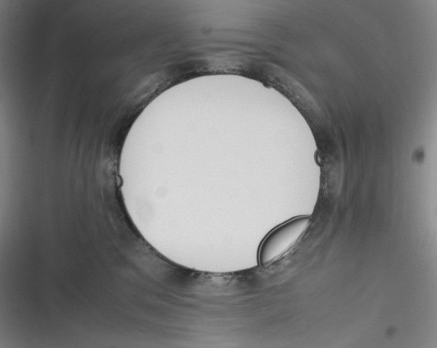 X0000116840329201001081504