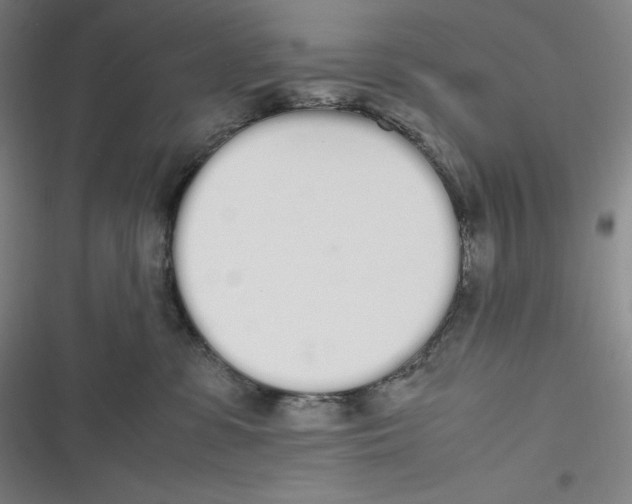 X0000116840331201001081504