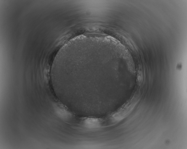 X0000116840332201001081504