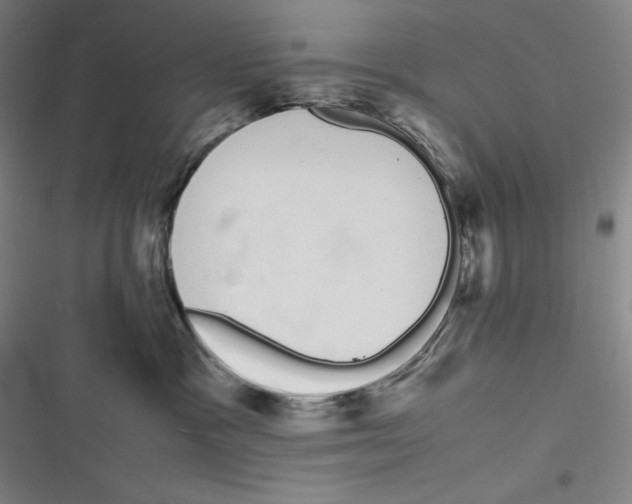 X0000116840333201001081504