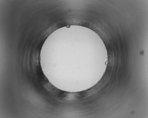 X0000116840334201001081504