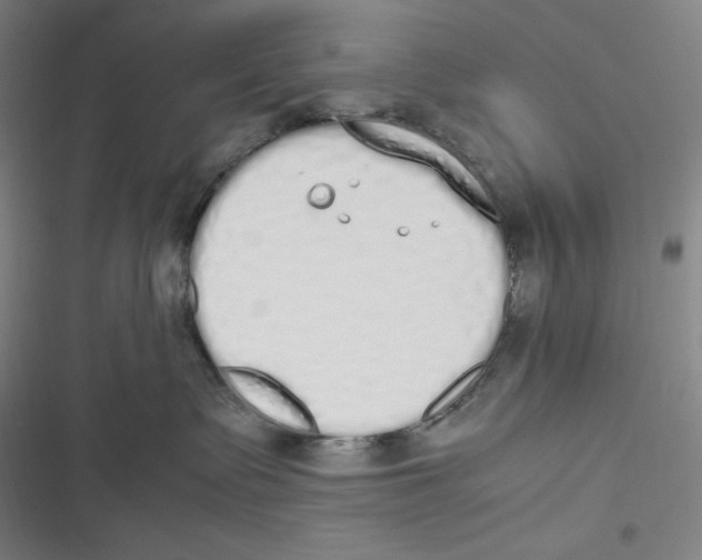 X0000116840335201001081504