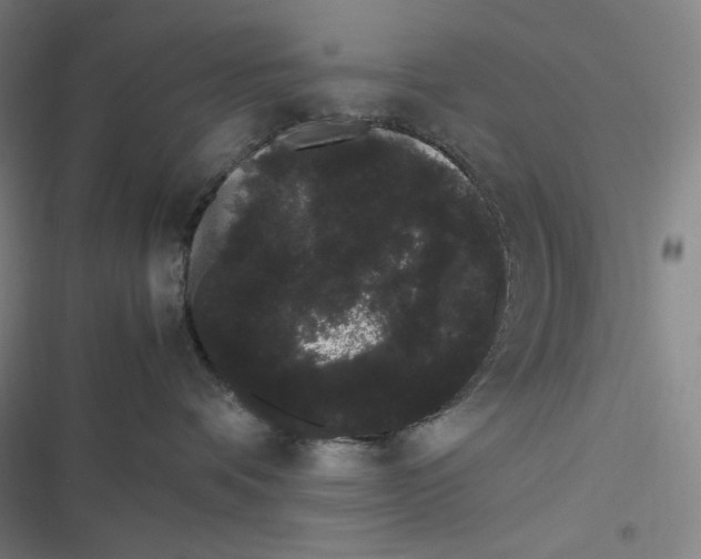 X0000116840336201001081504