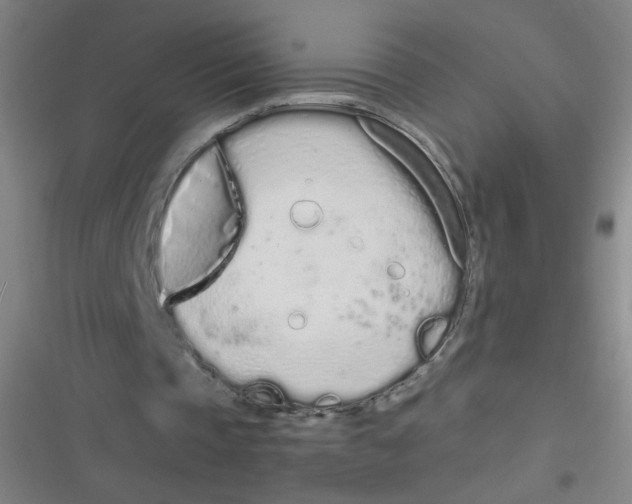 X0000116840337201001081503