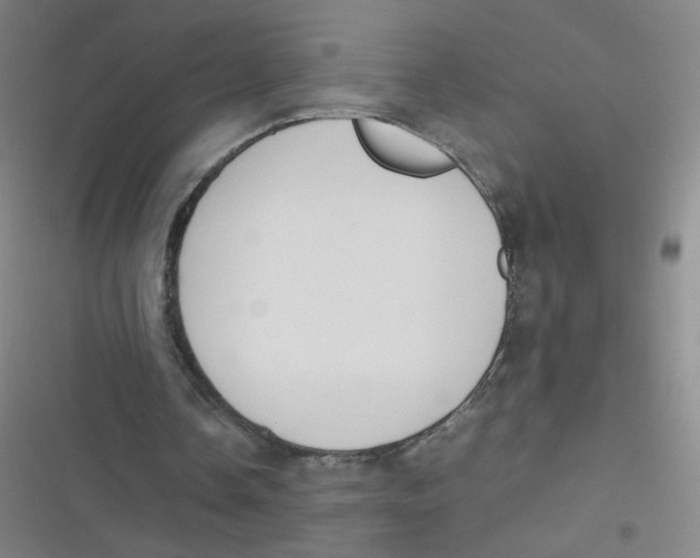 X0000116840338201001081503