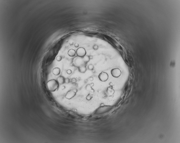 X0000116840339201001081503