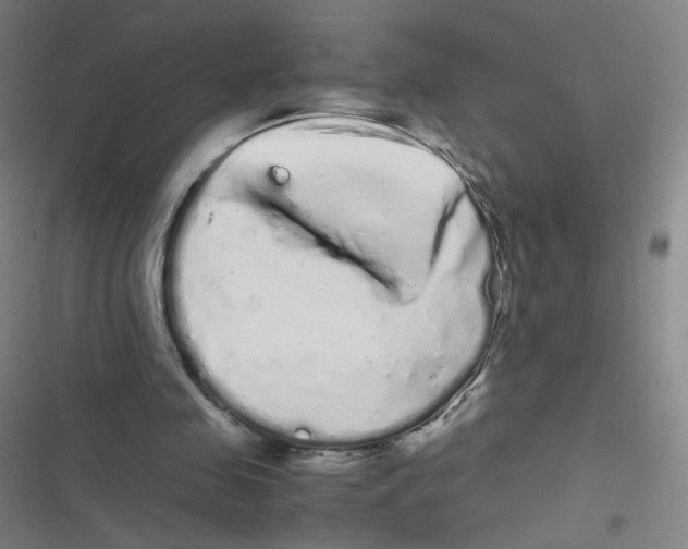 X0000116840341201001081503