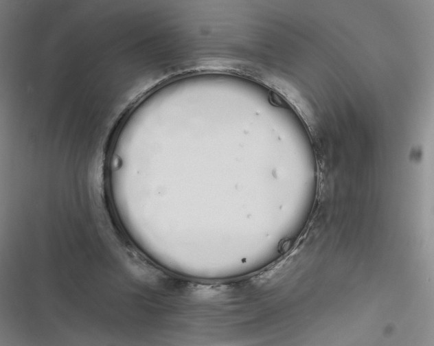 X0000116840346201001081503