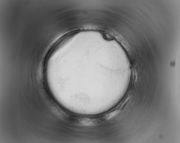 X0000116840347201001081503