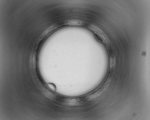 X0000116840349201001081503