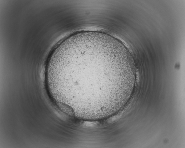 X0000116840350201001081503