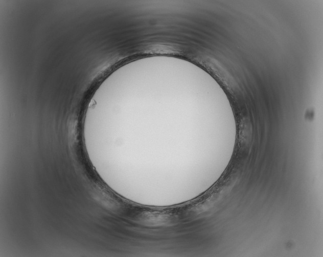 X0000116840351201001081503