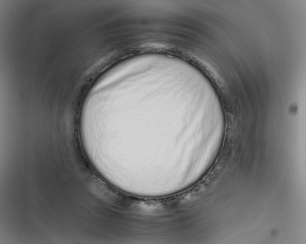 X0000116840353201001081503