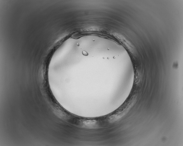 X0000116840355201001081503