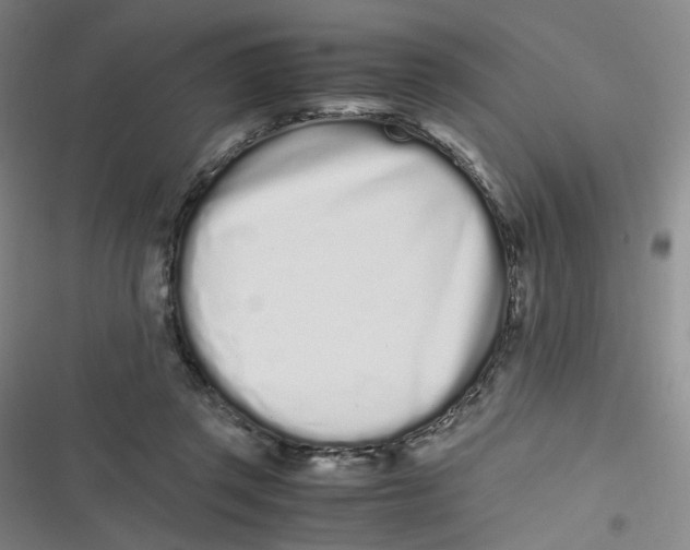 X0000116840357201001081503