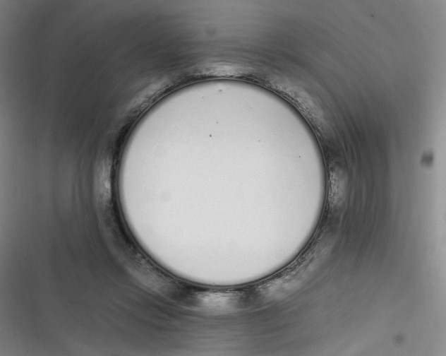 X0000116840358201001081503