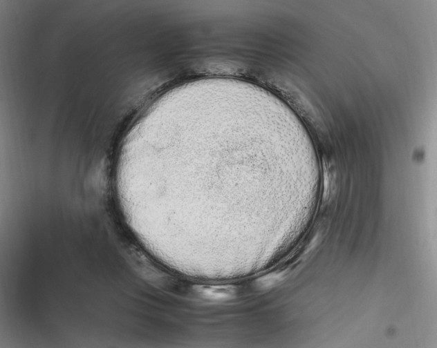 X0000116840359201001081503