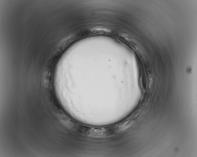 X0000116840361201001081503