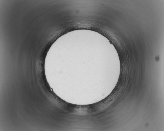 X0000116840362201001081503