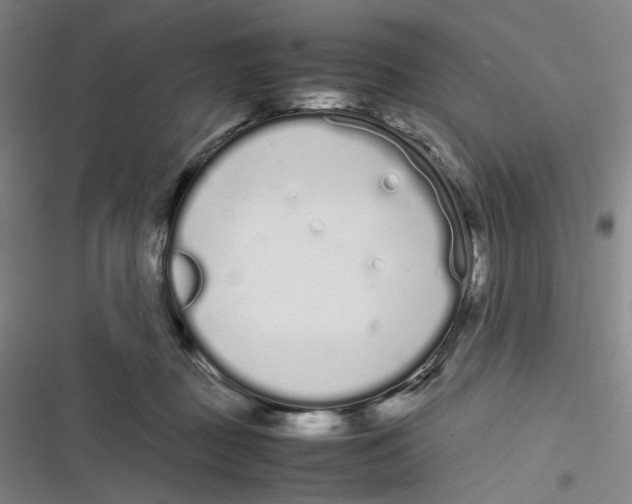 X0000116840363201001081503