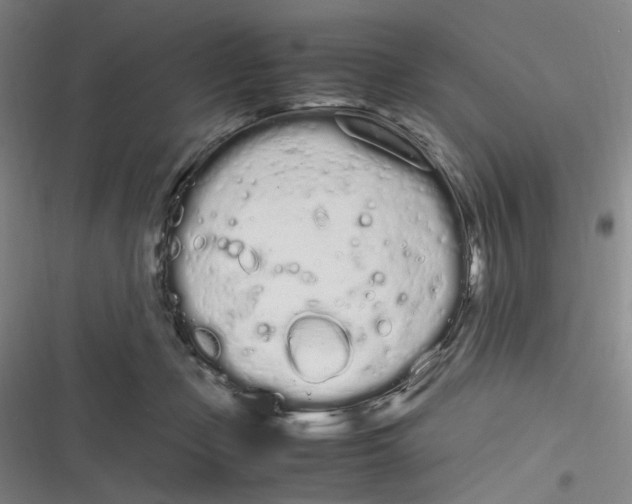 X0000116840365201001081503