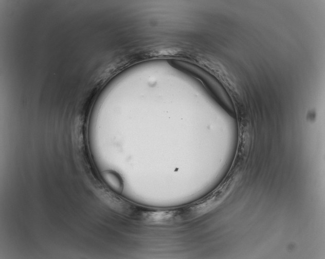 X0000116840366201001081503