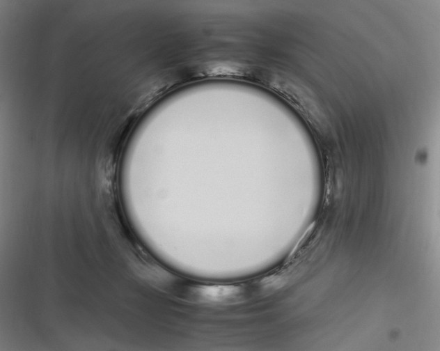 X0000116840367201001081503