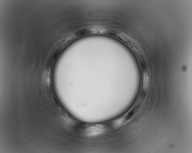 X0000116840369201001081503