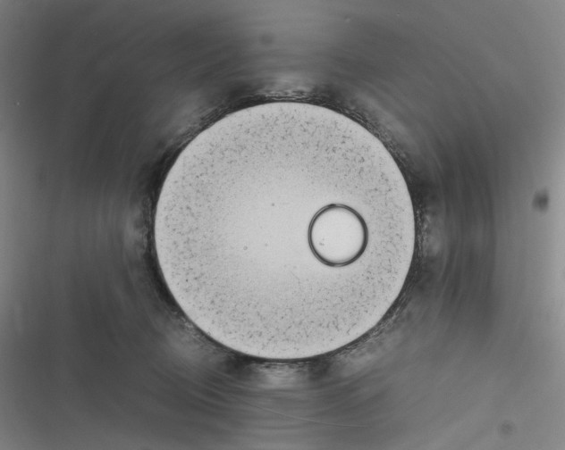 X0000116840370201001081503