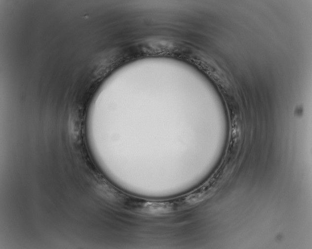 X0000116840371201001081503