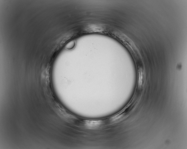 X0000116840373201001081503