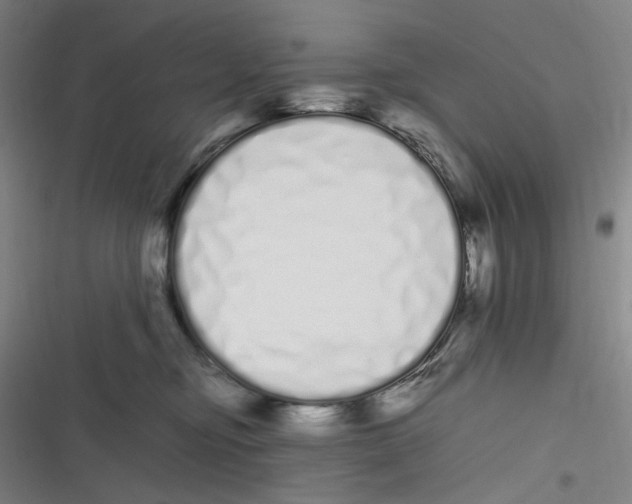 X0000116840374201001081503