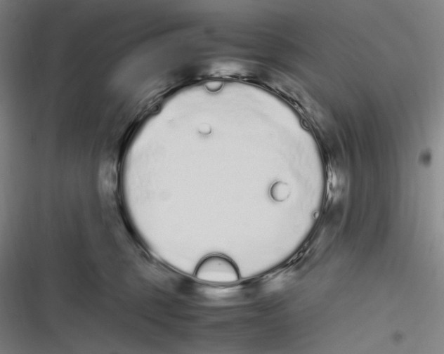 X0000116840375201001081503