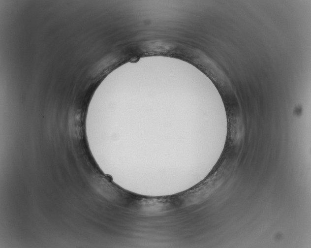 X0000116840378201001081504