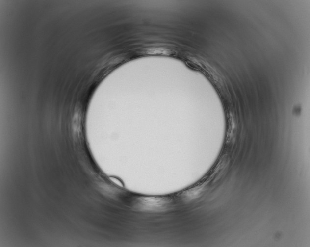 X0000116840379201001081504