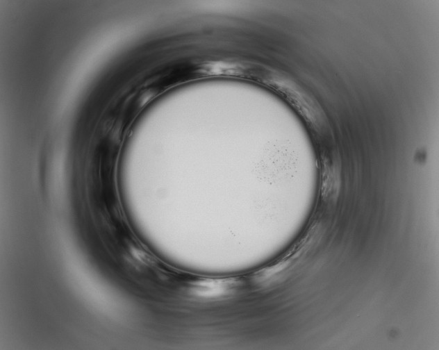 X0000116840381201001081504