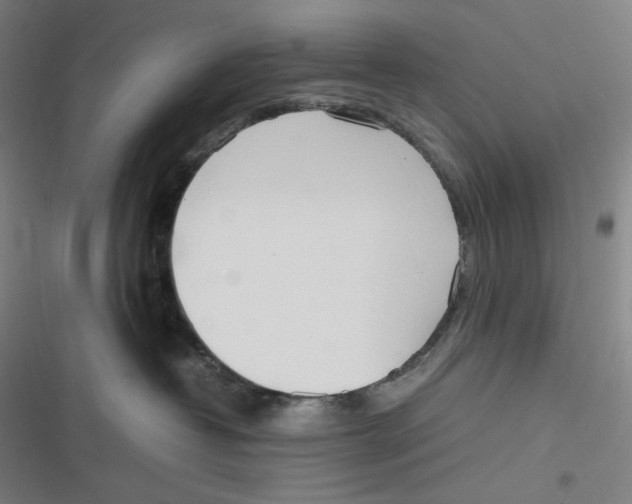 X0000116840382201001081504