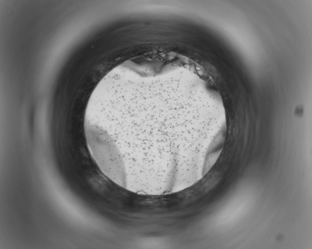 X0000116840383201001081504