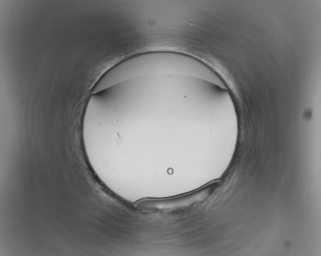 X0000116840385201001081503