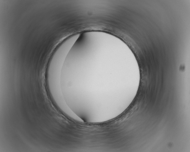 X0000116840386201001081503