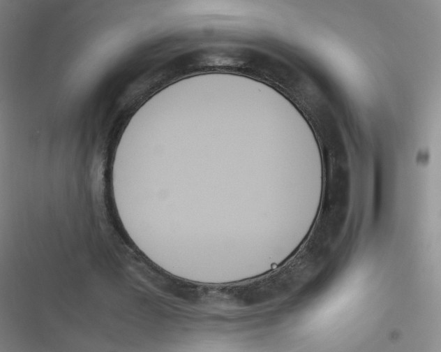 X0000116840387201001081503